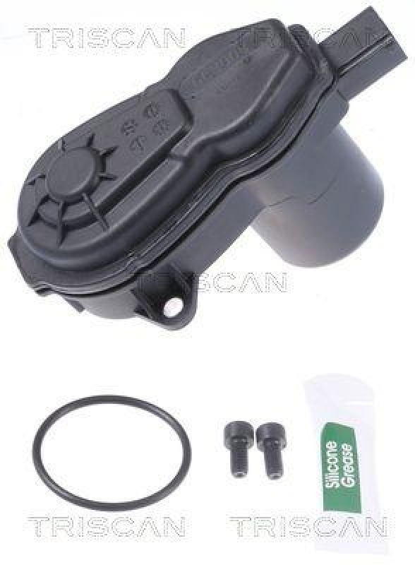 TRISCAN 8170 208008 Brake Caliper Motor für Audi