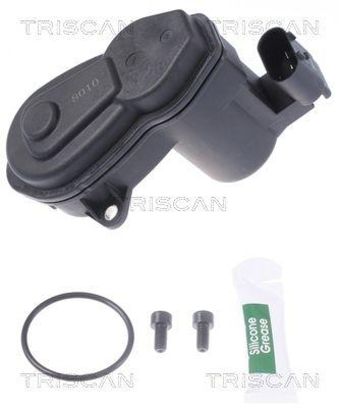 TRISCAN 8170 208010 Brake Caliper Motor für Bmw