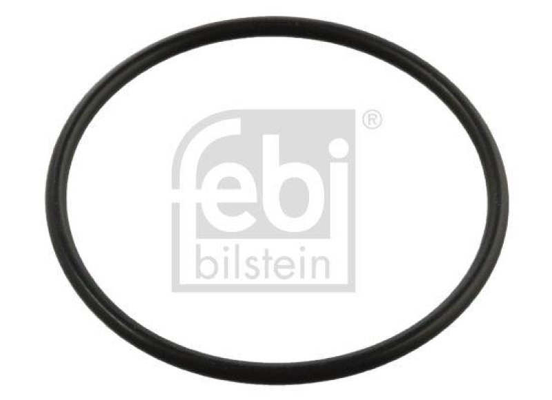 FEBI BILSTEIN 04950 Dichtring für Bremsnockenwelle für ROR