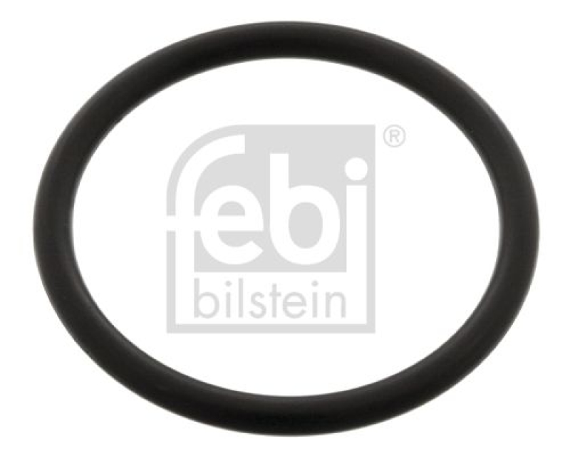 FEBI BILSTEIN 04955 Dichtring für Bremsnockenwelle für Sauer