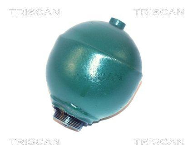 TRISCAN 8760 38202 Druckspeicher Hinten für Citroen Bx14, 16, 19, Dies