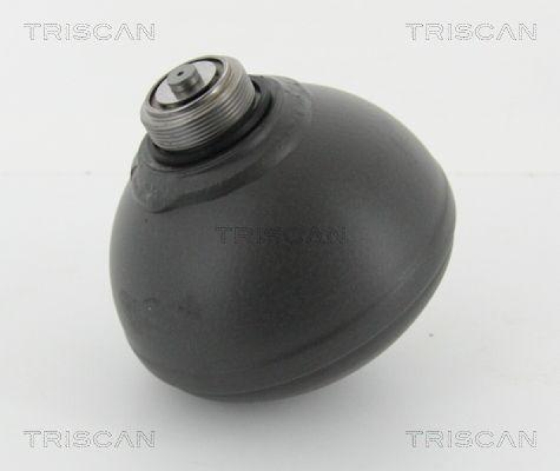 TRISCAN 8760 38225 Druckspeicher Hinten für Citroen