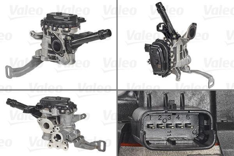 VALEO 700455 AGR Ventil CITROEN C4