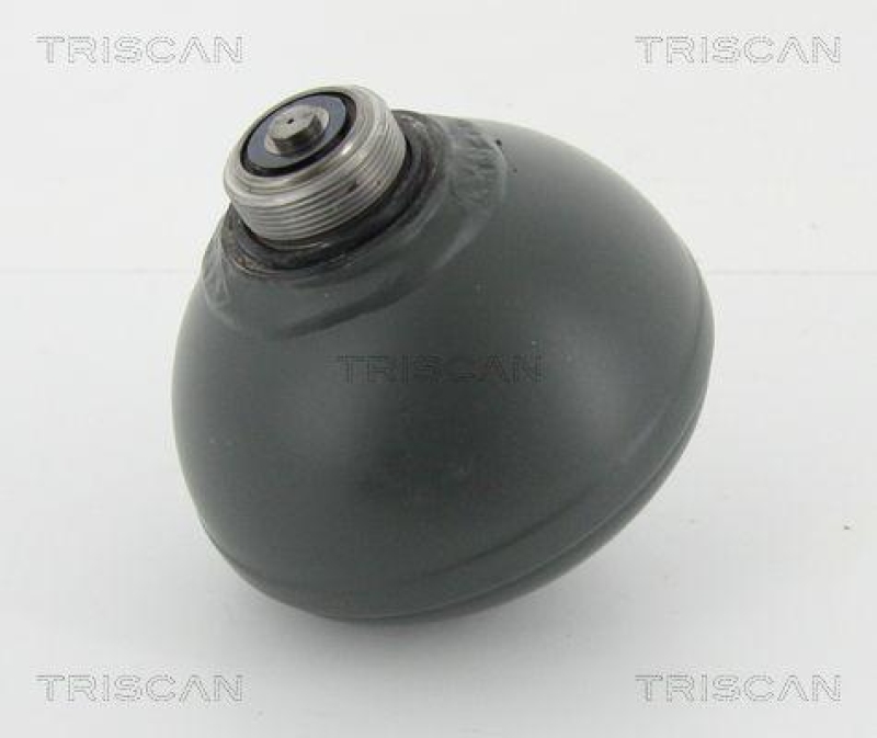 TRISCAN 8760 38228 Druckspeicher Hinten für Citroen