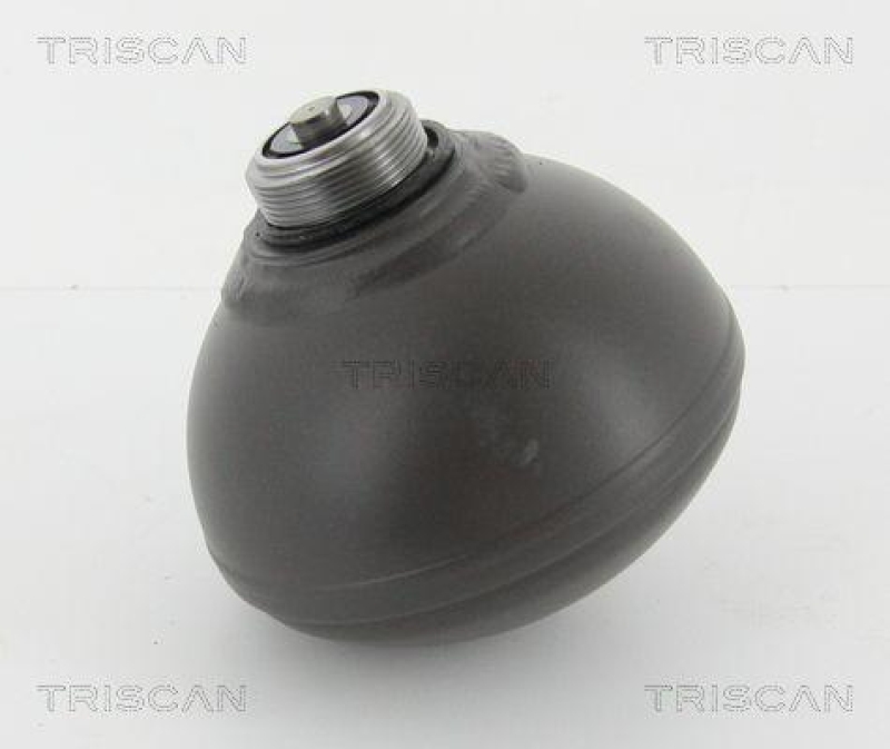 TRISCAN 8760 38229 Druckspeicher Hinten für Citroen