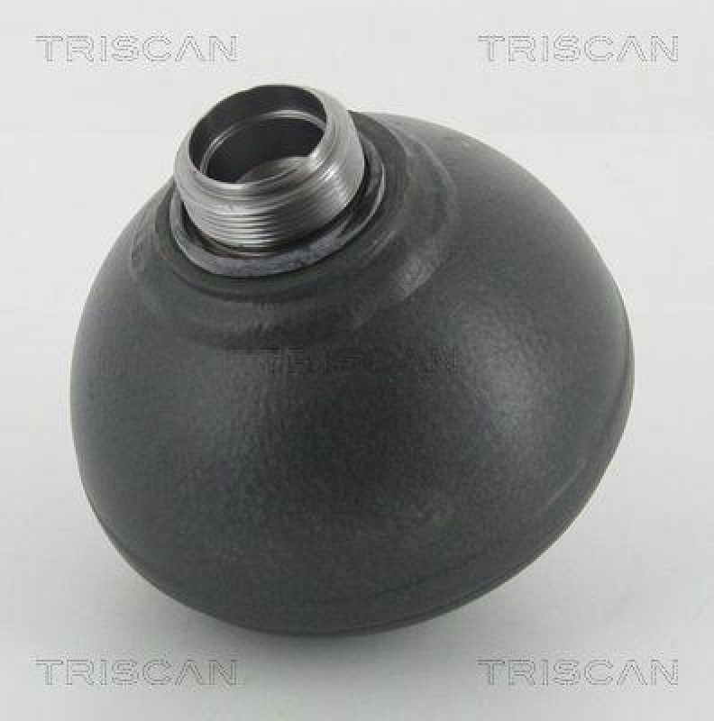 TRISCAN 8760 38304 Druckspeicher Hinten für Citroen C5