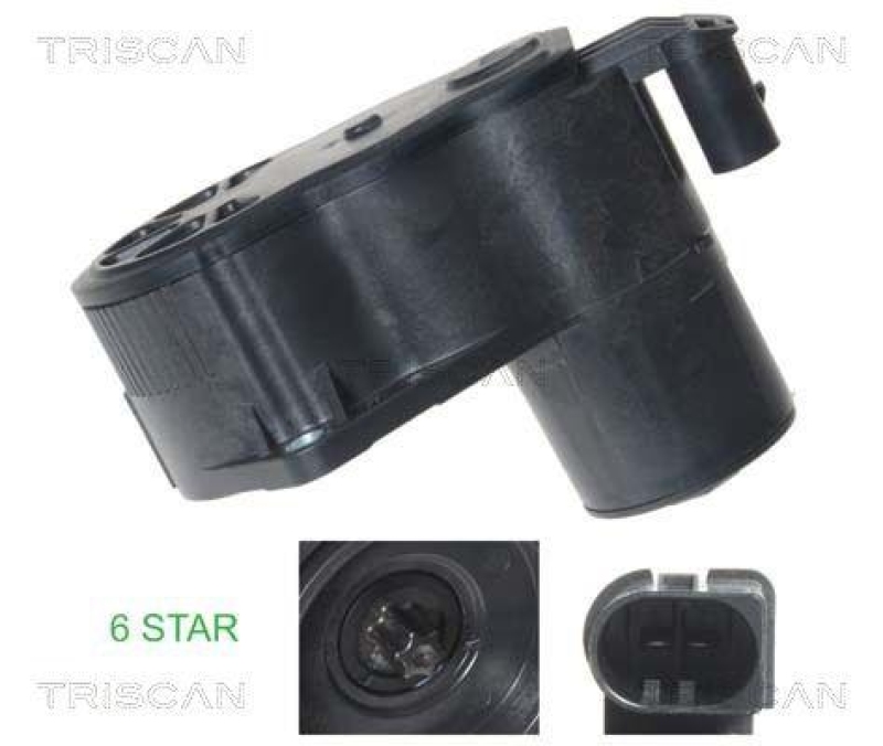 TRISCAN 8170 208045 Brake Caliper Motor für Citroen, Peugeot, Opel