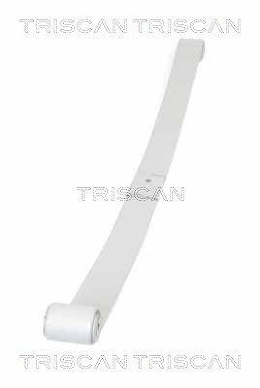 TRISCAN 8765 10008 Blattfeder Hinten für Nissan,Renault,Opel