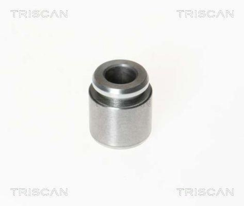 TRISCAN 8170 232801 Kolben für Audi, Porsche, Vw