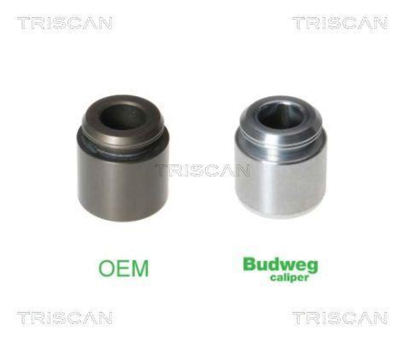 TRISCAN 8170 232803 Kolben für Bmw, Jeep, Volvo, Tesla