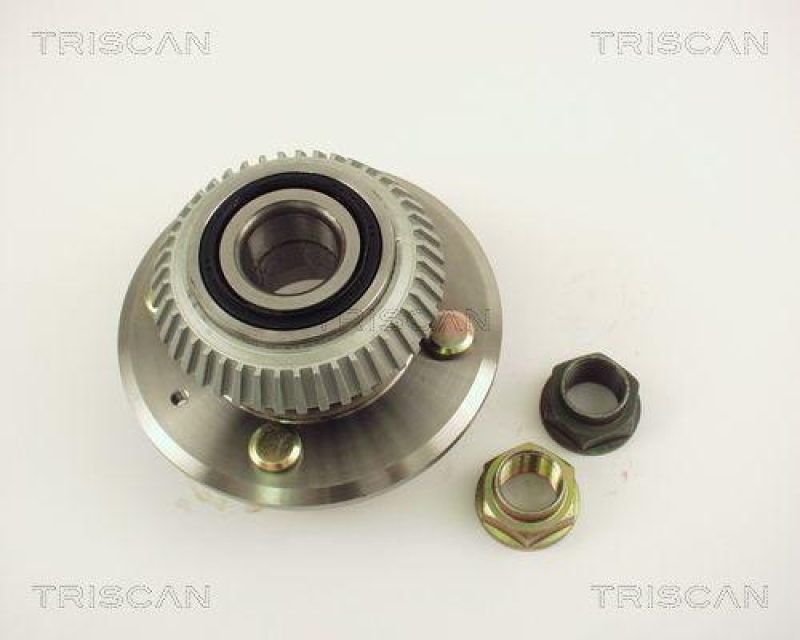 TRISCAN 8530 17219 Radlagersatz Hinten für Rover 200/400 Serie