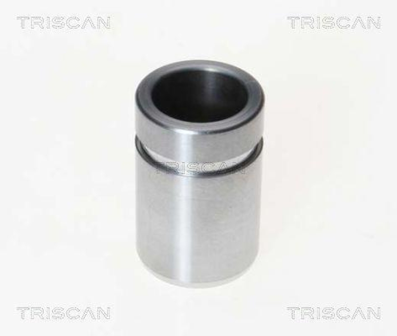 TRISCAN 8170 233022 Kolben für Toyota