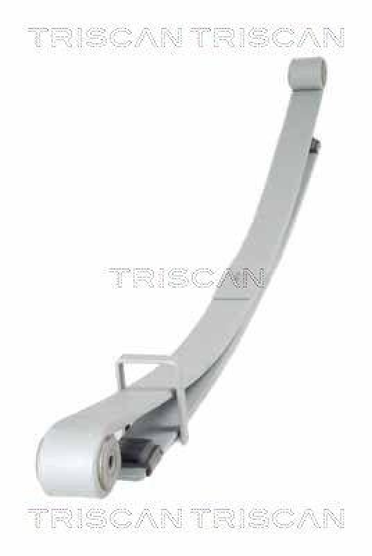 TRISCAN 8765 10011 Blattfeder Hinten für Nissan, Opel, Renault