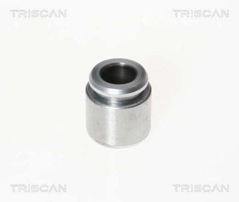 TRISCAN 8170 233023 Kolben für Audi,Vw