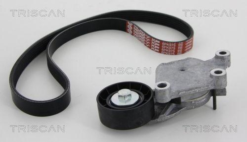 TRISCAN 8642 28012 Keilrippenriemensatz für Citroen, Peugeot