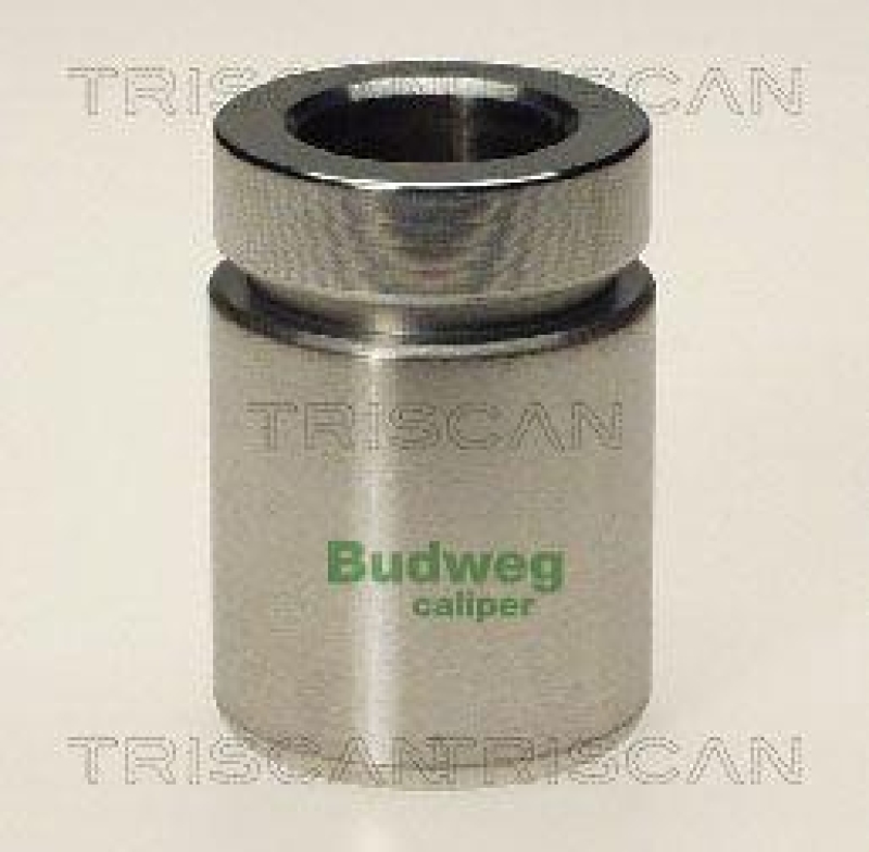 TRISCAN 8170 233413 Kolben für Bmw