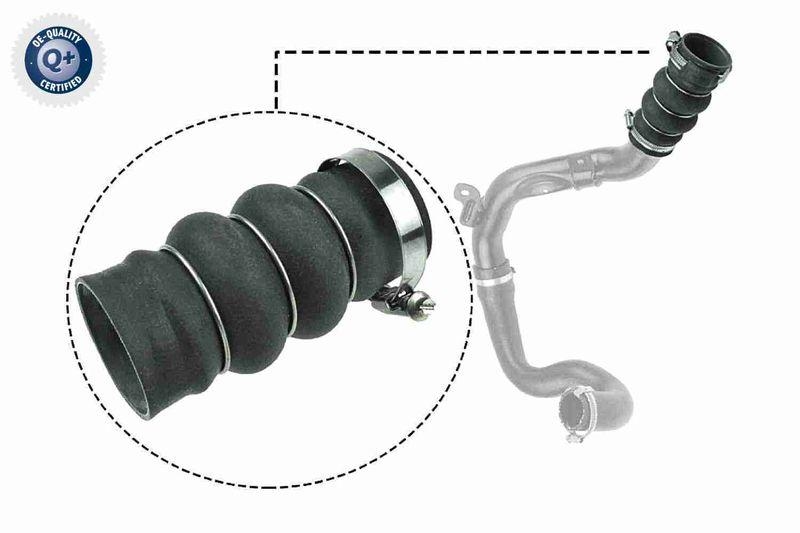 VAICO V25-1052 Ladeluftschlauch für FORD