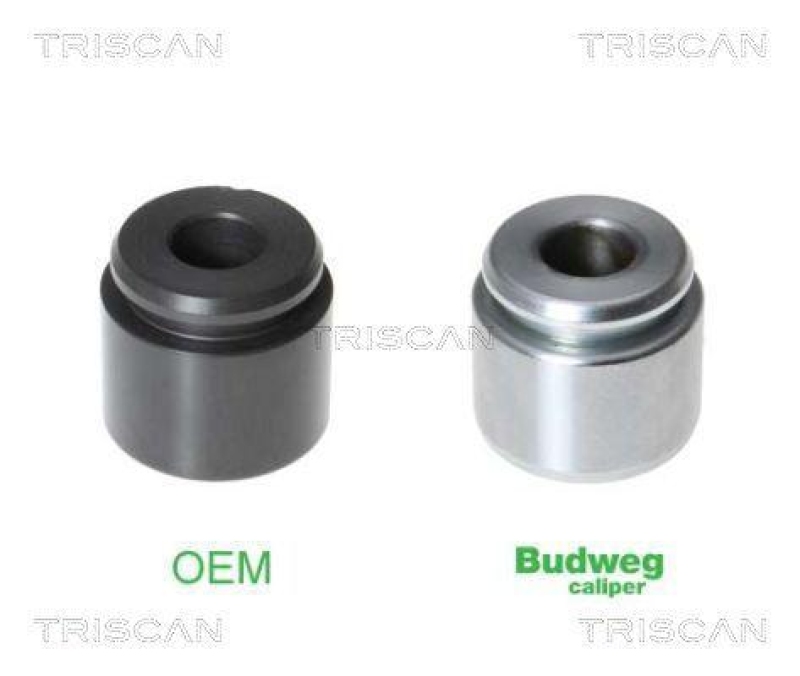 TRISCAN 8170 233424 Kolben für Audi