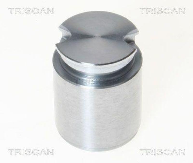 TRISCAN 8170 233631 Kolben für Opel