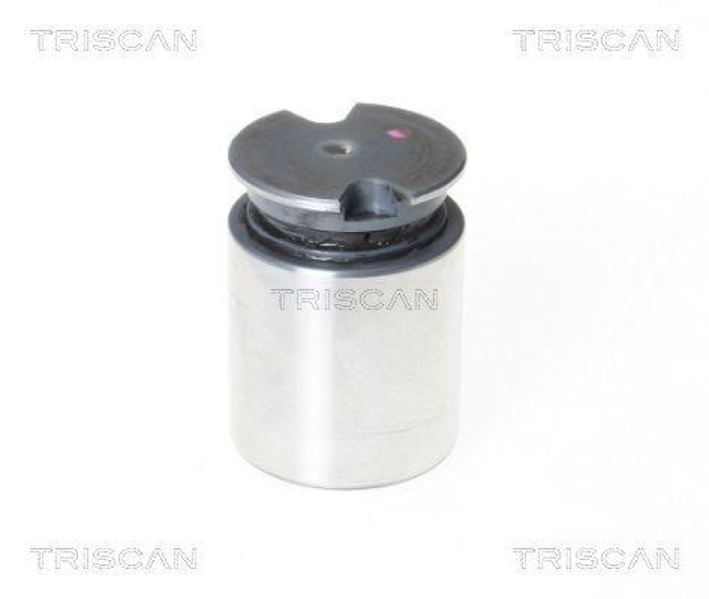 TRISCAN 8170 233634 Kolben für Fiat