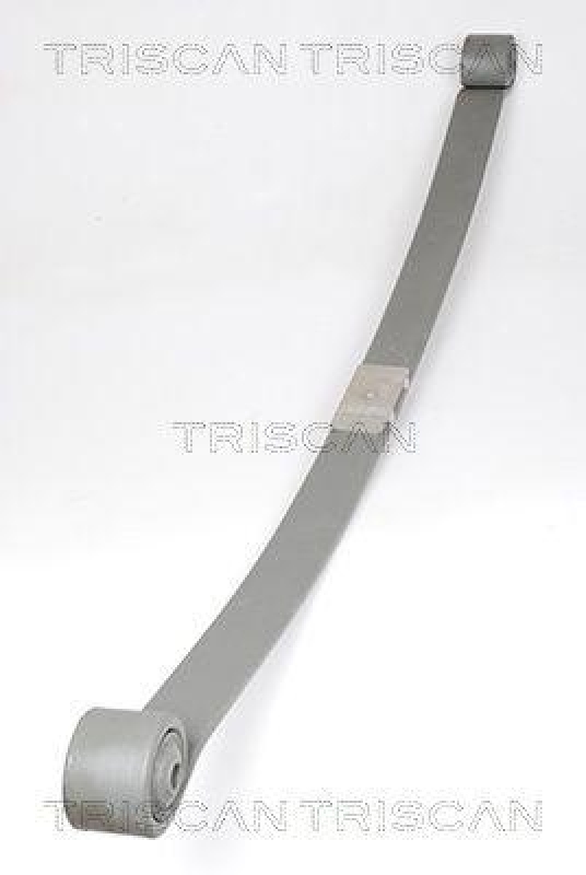 TRISCAN 8765 16034 Blattfeder Hinten für Ford