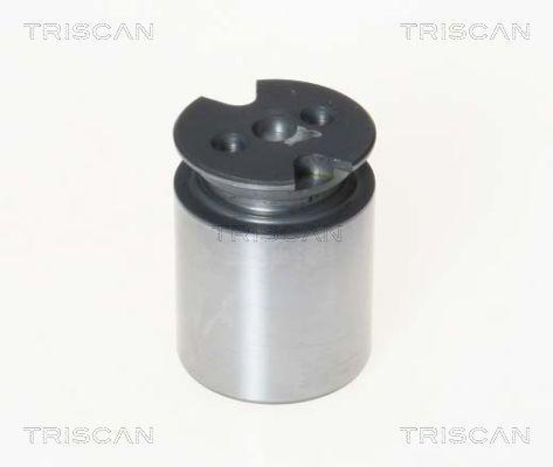 TRISCAN 8170 233860 Kolben für Citroen