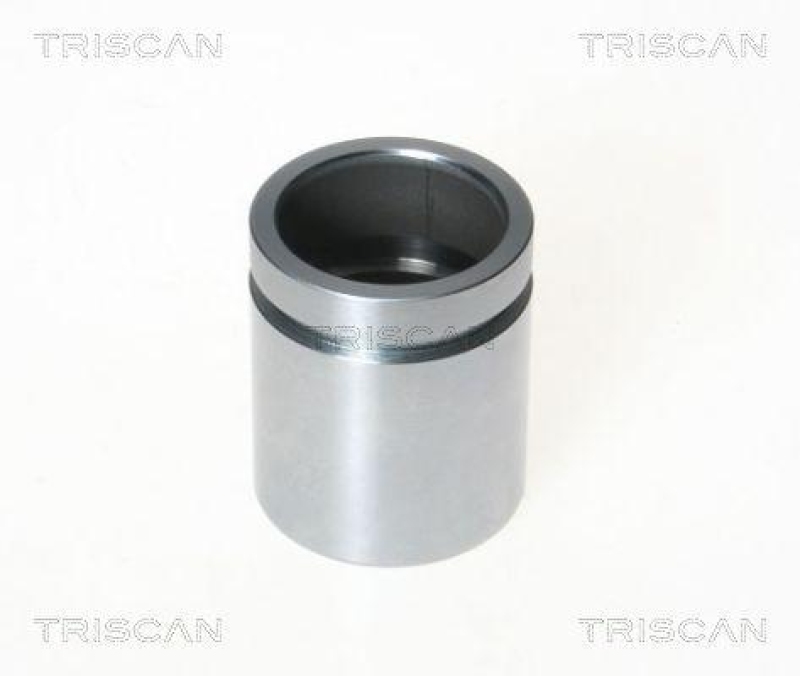 TRISCAN 8170 233865 Kolben für Honda