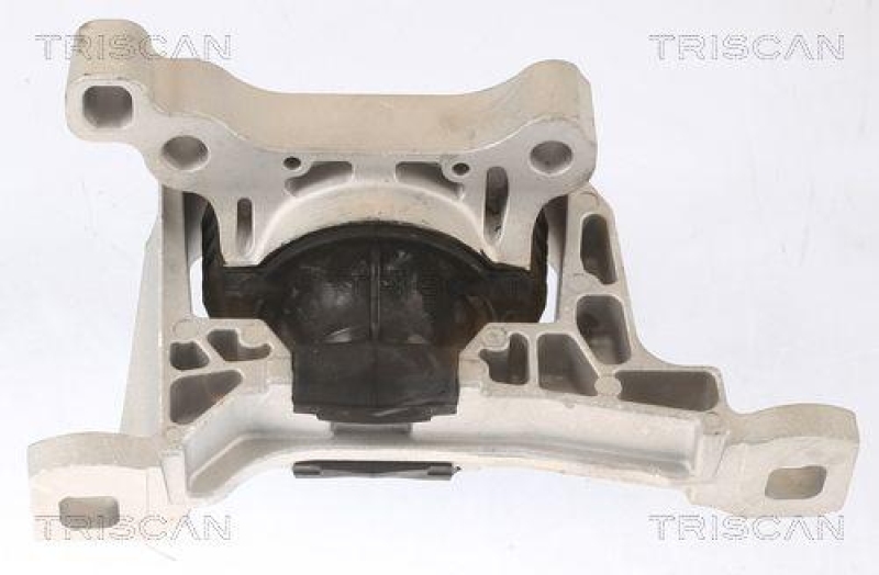 TRISCAN 8505 16111 Motoraufhängung für Ford