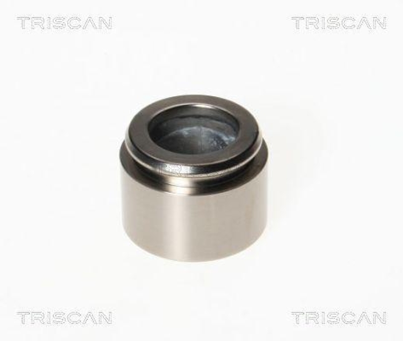 TRISCAN 8170 234043 Kolben für Fiat, Opel, Saab, Tesla