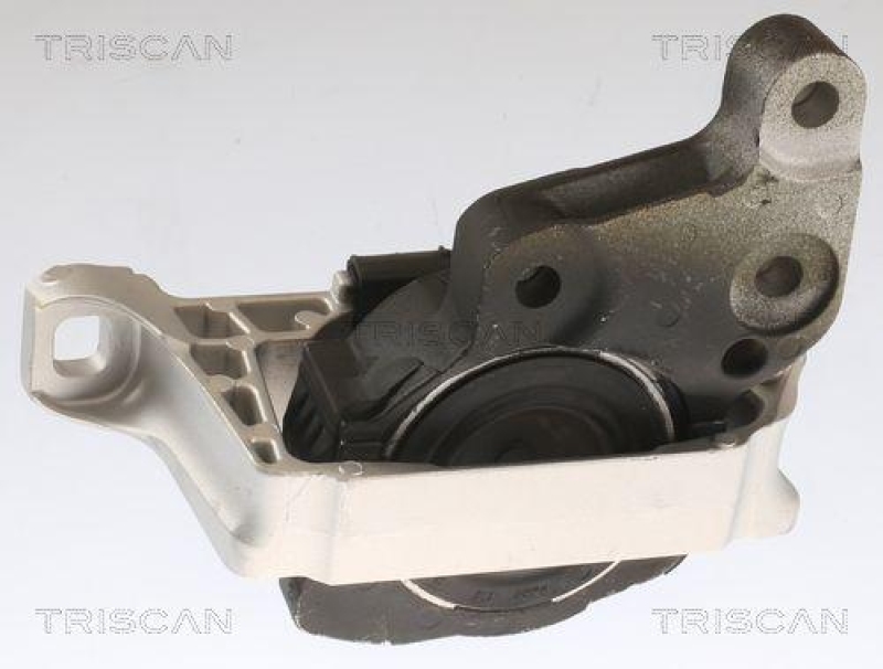 TRISCAN 8505 16113 Motoraufhängung für Ford