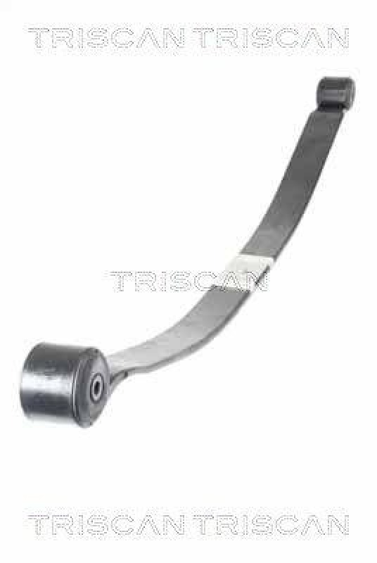 TRISCAN 8765 16049 Blattfeder Hinten für Ford Transit