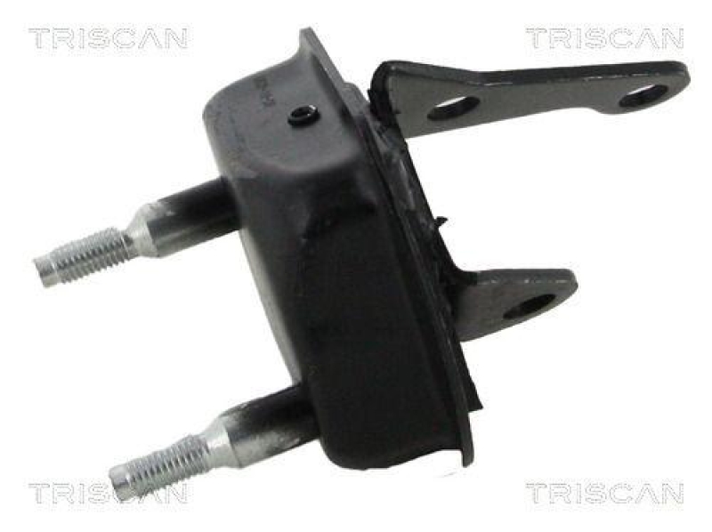 TRISCAN 8500 28533 Lagerbock Ashskörper für Citroen, Peugeot