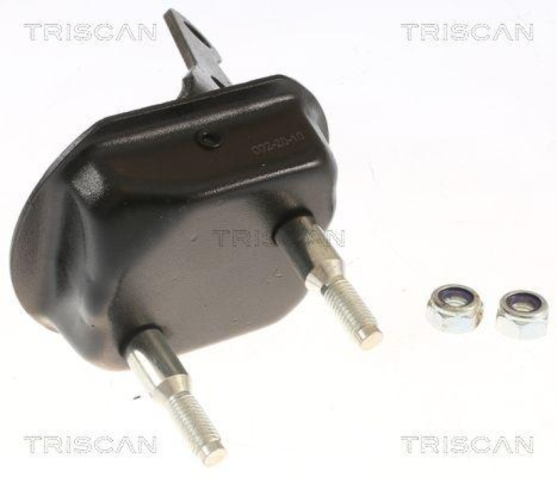 TRISCAN 8500 28534 Lagerbock Ashskörper für Citroen, Peugeot