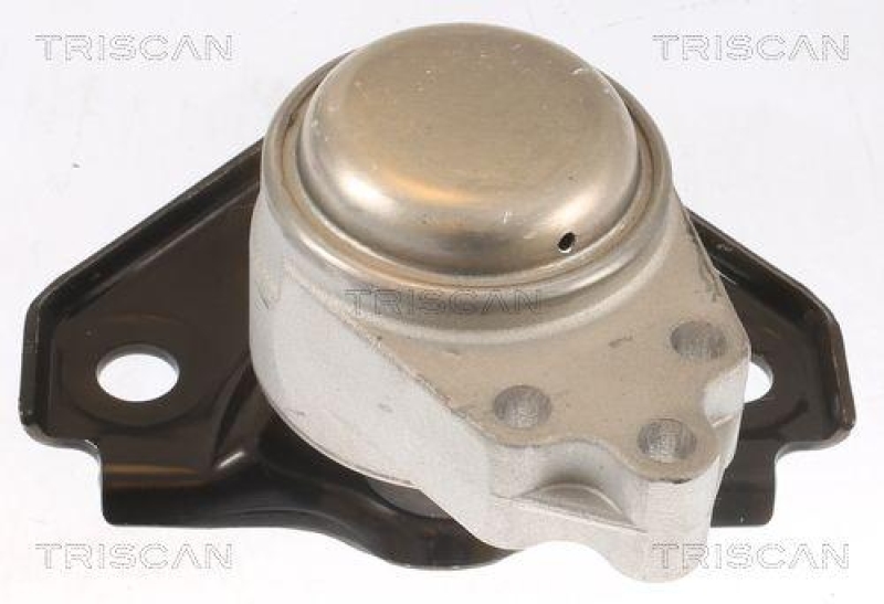 TRISCAN 8505 16119 Motoraufhängung für Ford Fiesta, Fusion