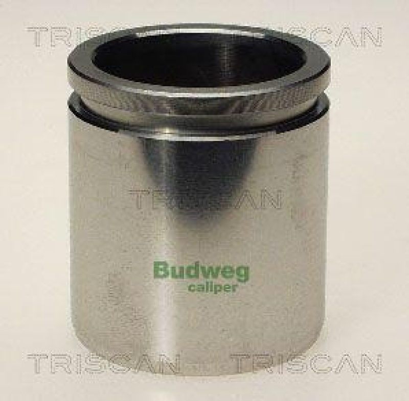 TRISCAN 8170 234810 Kolben für Audi, Fiat, Peugeot, Volvo