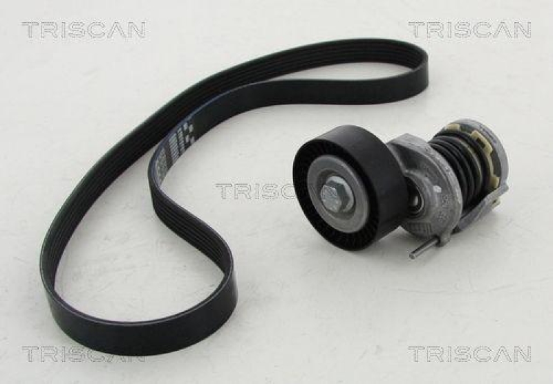 TRISCAN 8642 29011 Keilrippenriemensatz für Audi, Seat, Skoda, Vw