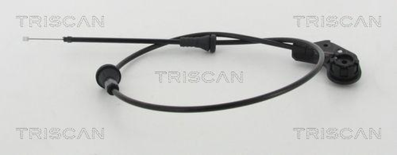 TRISCAN 8140 11601 Motorhaubenzüge für Bmw 3-Serie E46