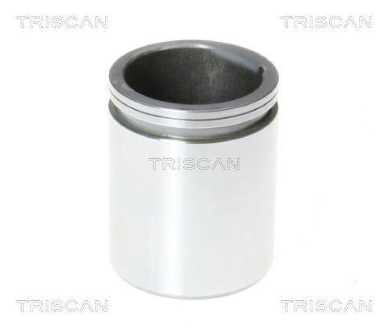 TRISCAN 8170 234866 Kolben für Iveco, Nissan, Vw, Mercede