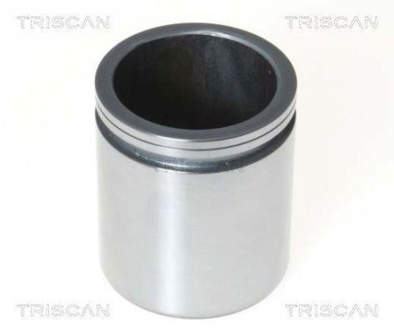 TRISCAN 8170 234871 Kolben für Opel, Nissan, Renault