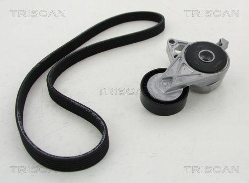 TRISCAN 8642 29013 Keilrippenriemensatz für Audi, Seat, Skoda, Vw