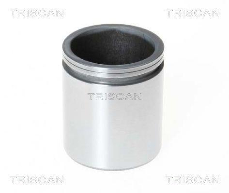 TRISCAN 8170 235213 Kolben für Mercedes, Vw