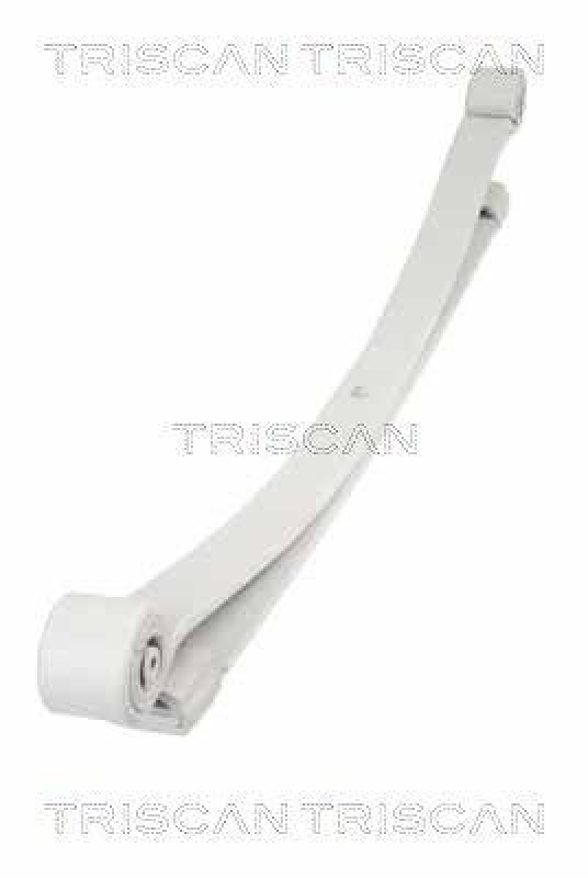 TRISCAN 8765 23025 Blattfeder Hinten für Mercedes, Vw