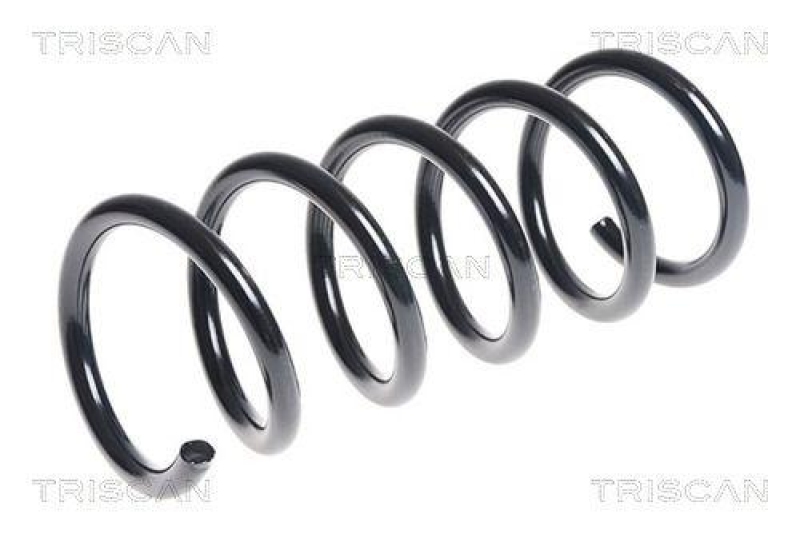 TRISCAN 8750 15169 Spiralfeder Hinten für Fiat