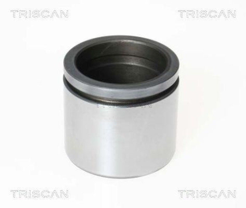 TRISCAN 8170 236049 Kolben für Bmw