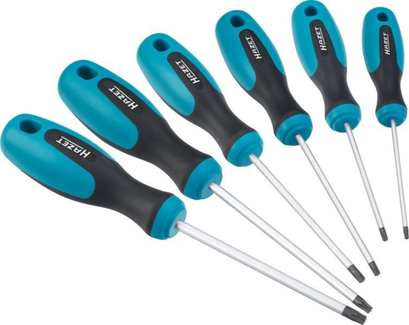 HAZET 810T/6 TORX-Schraubendrehersatz