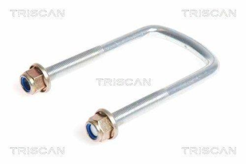 TRISCAN 8765 250001 Federbride für Renault