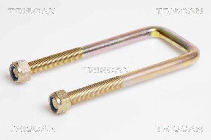 TRISCAN 8765 420001 Federbride für Mitsubishi