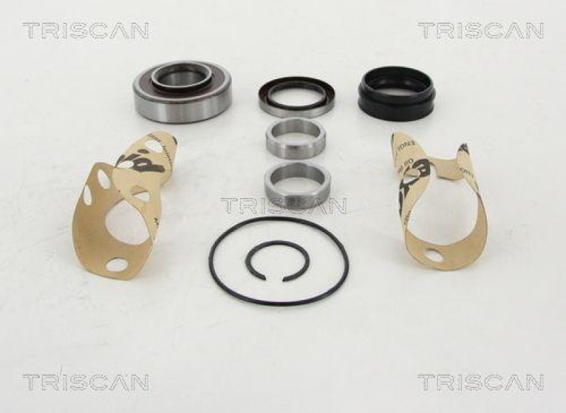 TRISCAN 8530 13281 Radlagersatz Hinten für Toyota Hilux