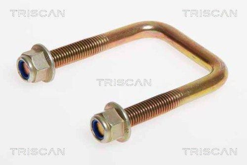 TRISCAN 8765 160004 Federbride für Ford