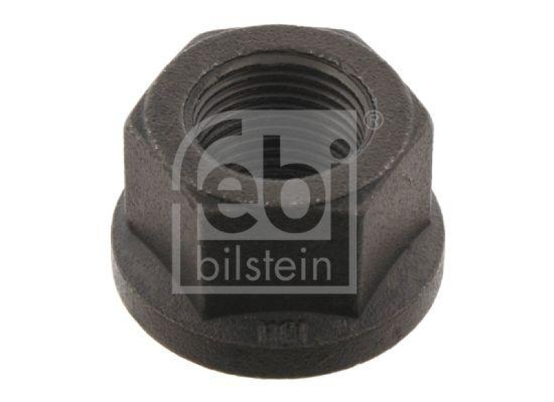 FEBI BILSTEIN 19193 Befestigungsmutter für DAF